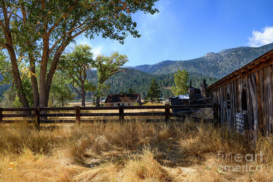 Early Fall At The Twaddle Ranch Photograph