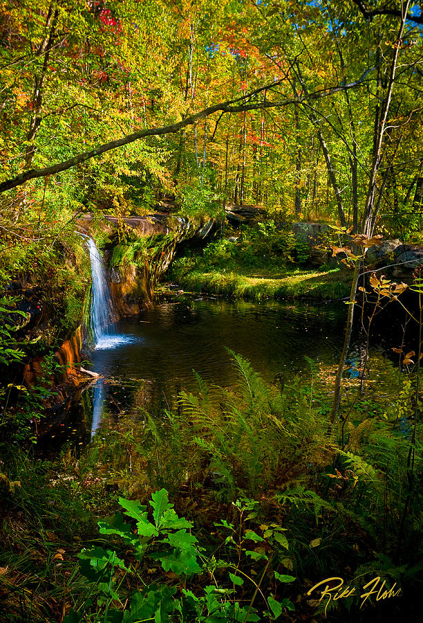 Early Fall Fall Photograph by Rikk Flohr