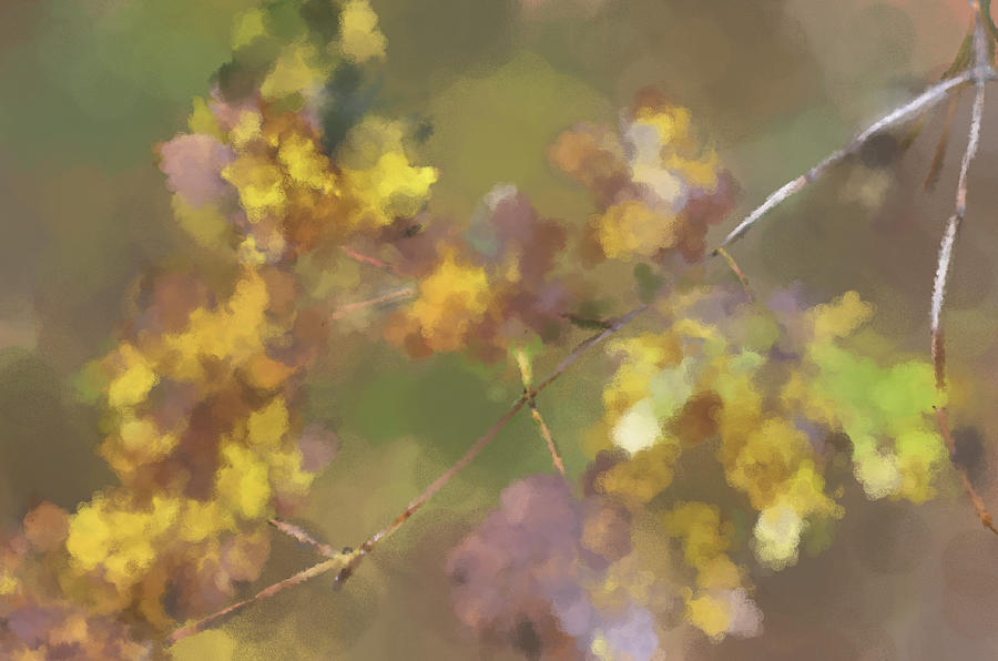 Early Fall Leaves Digital Art by Jim Proctor