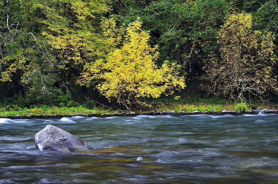 Early Fall North Santiam River 5187 Photograph by Jerry Sodorff