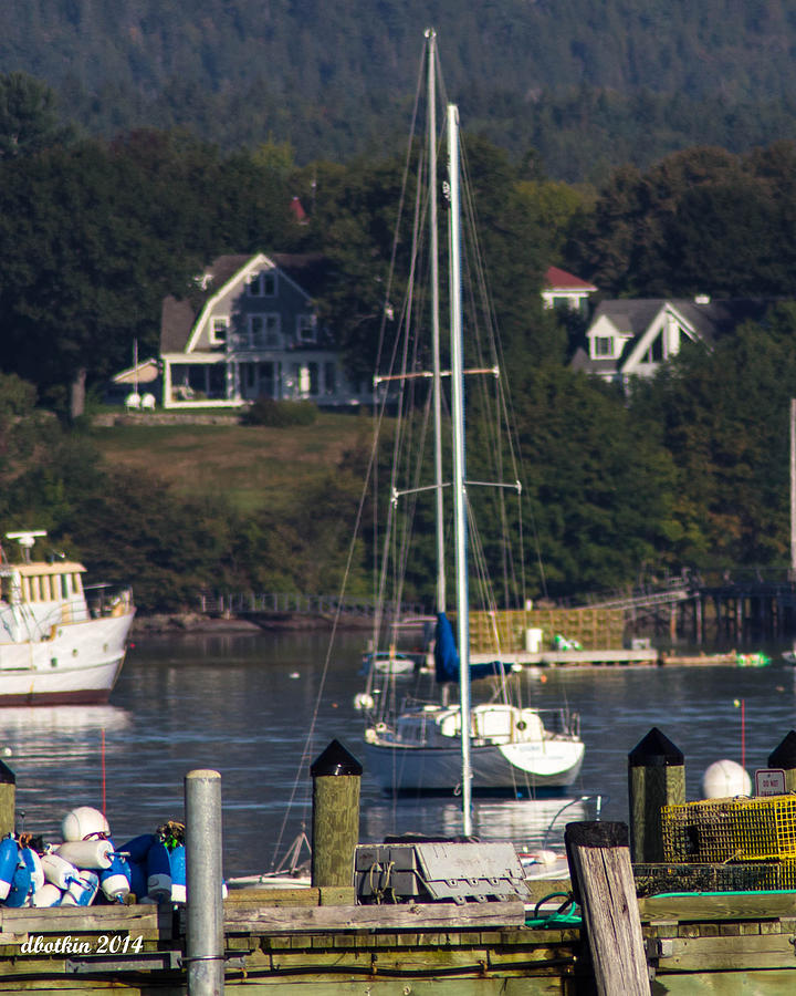 Early Fall SW Harbor Photograph by Dick Botkin