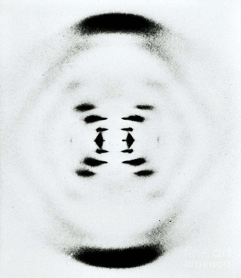 Dna Photograph - Early Image Of Dna by Omikron