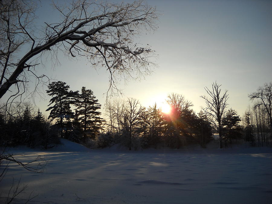 Early January Winter Sunrise Photograph by Kent Lorentzen