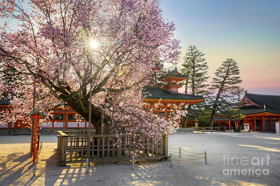 Early Light at Heian Jingu Shrine Kyoto  I Photograph by Karen Jorstad