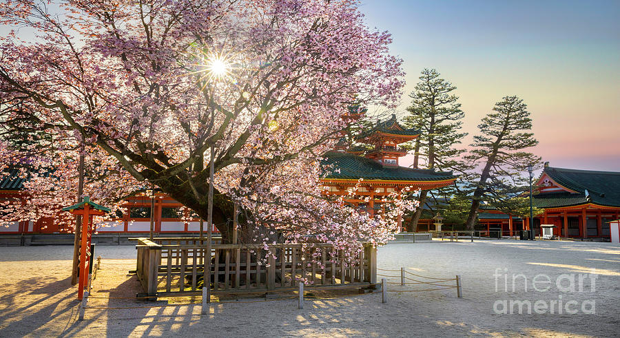 Early Light at Heian Jingu Shrine Kyoto  Panorama Photograph by Karen Jorstad