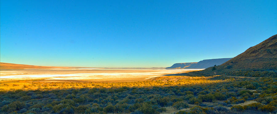 Early light on Oregon Salt Flat Photograph by Josephine Buschman