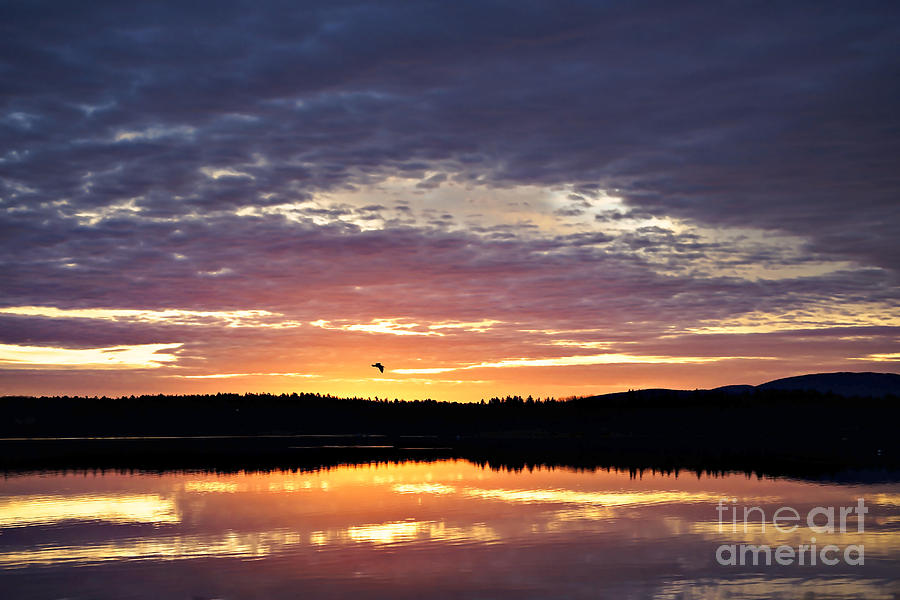 Early Light Photograph by Susan Garver Early Light Photograph by Susan Garver