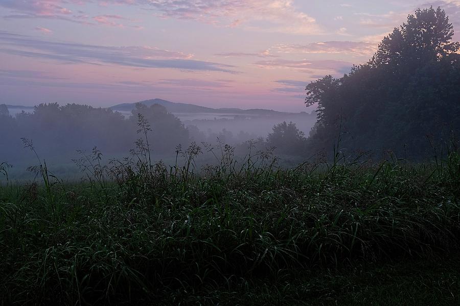 Early morning fog2 Photograph by Ronda Ryan
