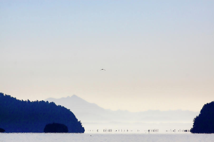 Landscape Photograph - Early Morning Ala Spit Whidbey Island by Carol Leigh