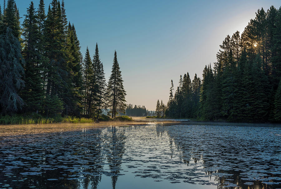 Early morning Algonquin Photograph by Ian Sempowski