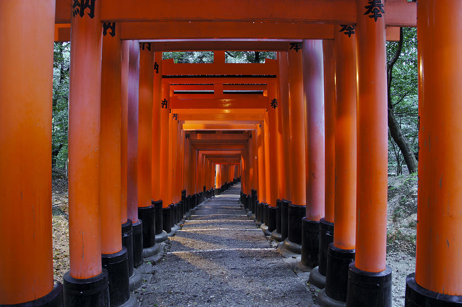 Early Morning at Fushimi Inari Taisha Photograph by Brian Kamprath