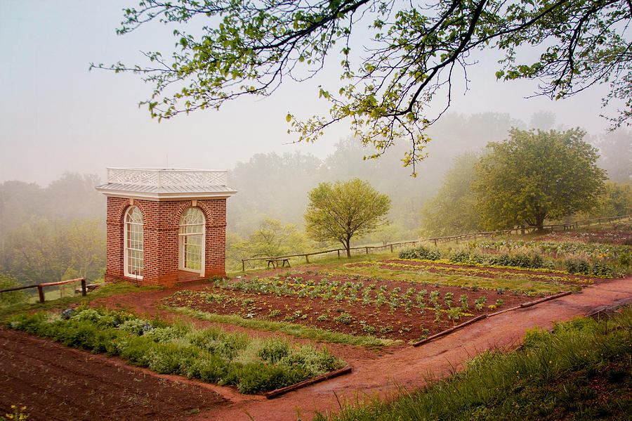 Early Morning at Monticello Photograph by Hermes Fine Art