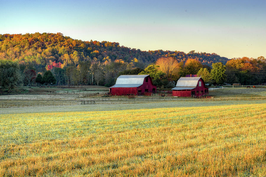 Early Morning at the Old Farm Place Photograph by Douglas Barnett