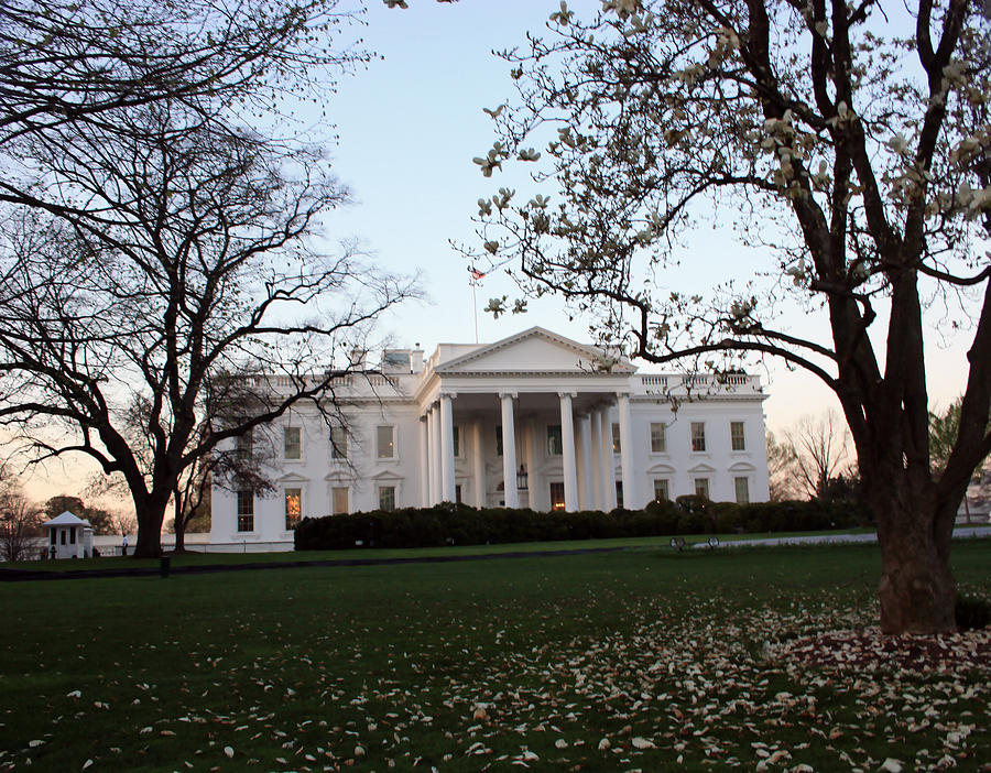 Early Morning at the White House Photograph by Mary Haber