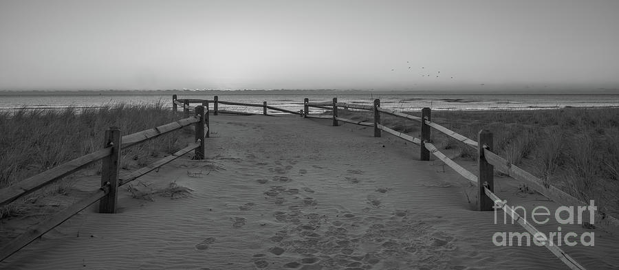 Early Morning Beach Path Sunrise BW Photograph by Michael Ver Sprill