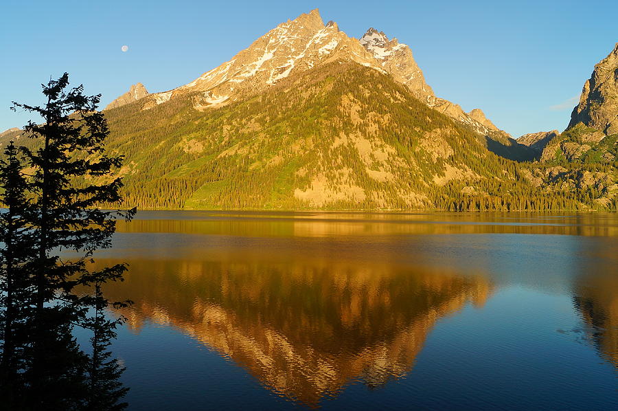 Grand Teton National Park Photograph - Early Morning by Beth Collins