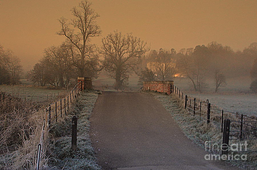 Early Morning Driveway Photograph by Andy Thompson
