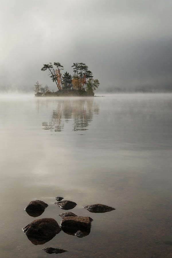 Early Morning Fog Photograph by Darylann Leonard Photography