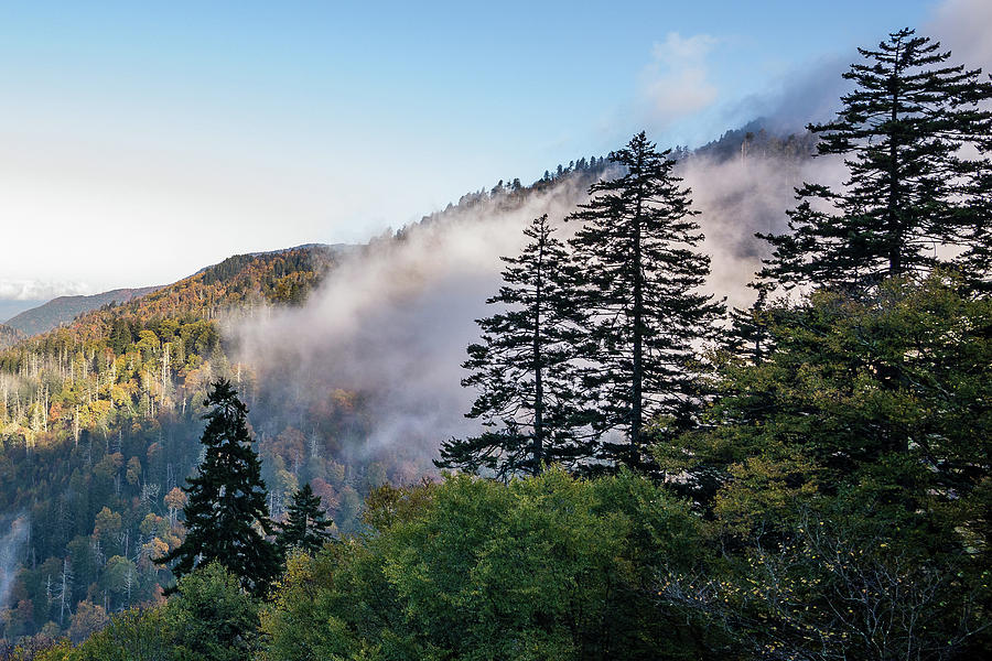 Early Morning Fog In The Smokies Photograph
