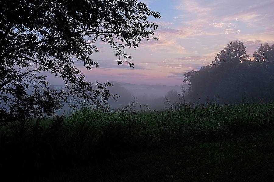 Early morning fog Photograph by Ronda Ryan