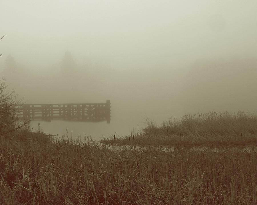 Landscape Photograph - Early Morning Fog by Susan Schumann