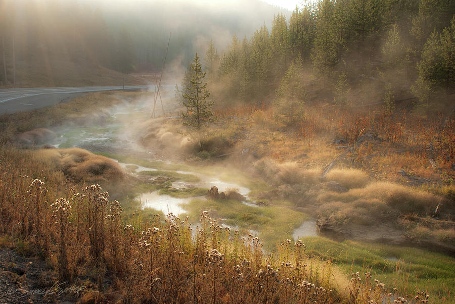 Early morning fog Yellowstone NP Photograph by Stacey Sather