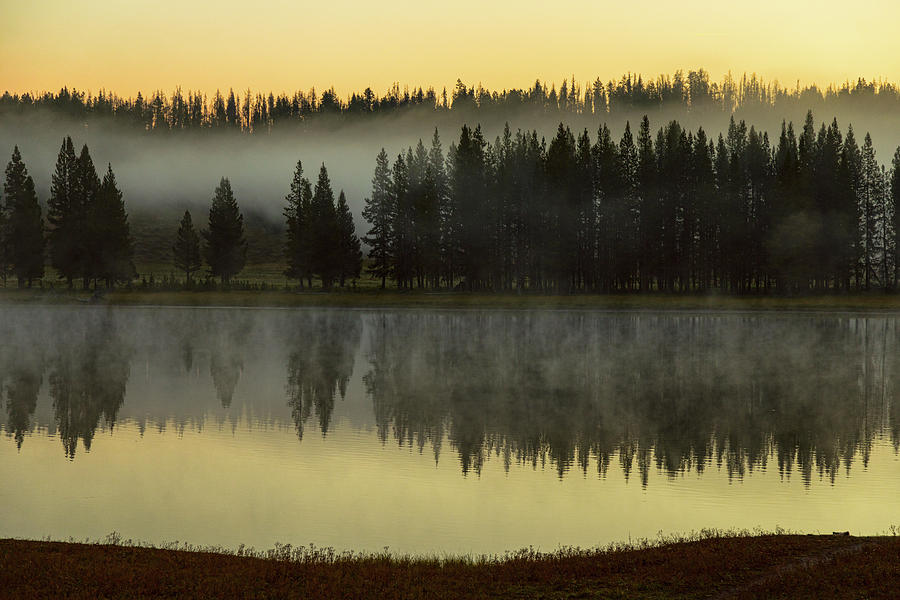 Early Morning Foggy Reflections Photograph by James BO Insogna