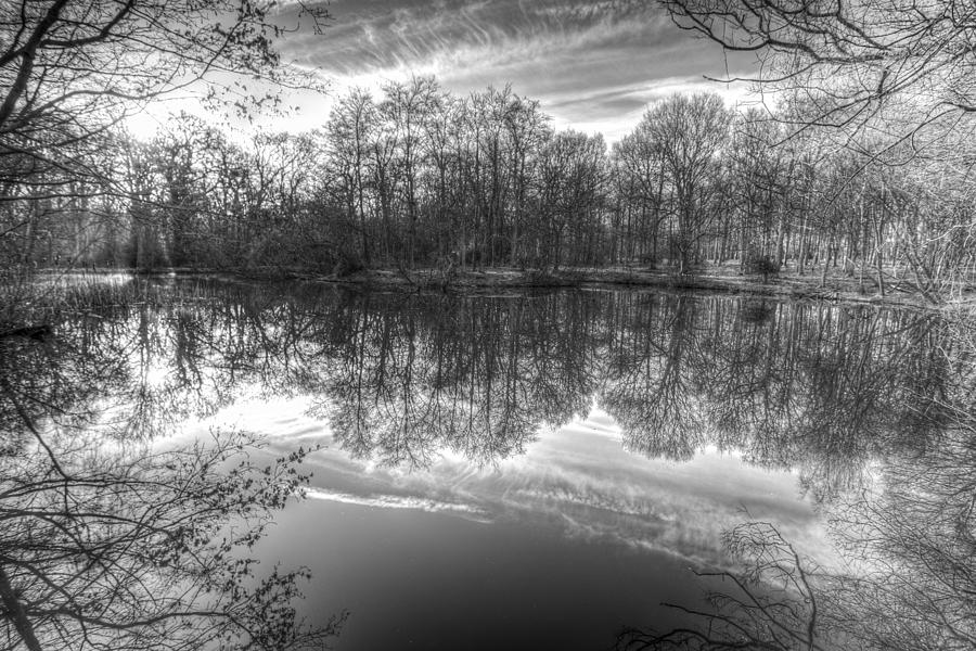 Early Morning Forest Pond Photograph by David Pyatt