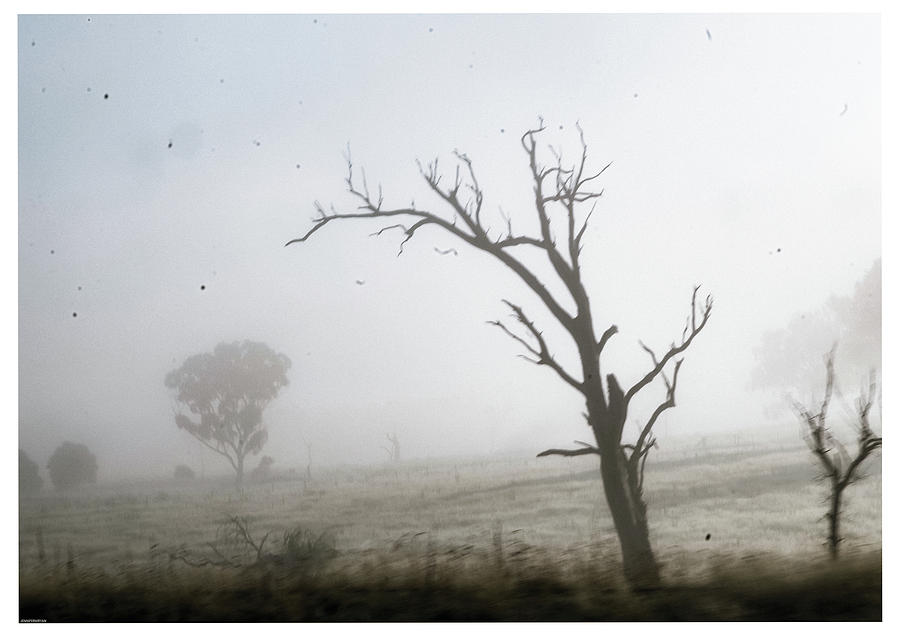 Landscape Photograph - Early Morning in Armidale, NSW by Jennifer Ryan