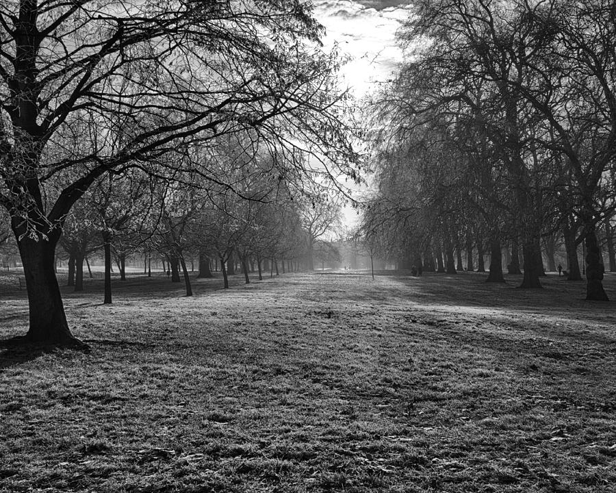 Early Morning in Hyde Park 16x20 Photograph by Leah Palmer