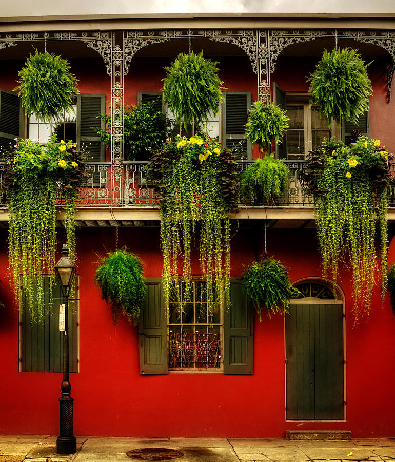 New Orleans Photograph - Early Morning In New Orleans by Greg and Chrystal Mimbs