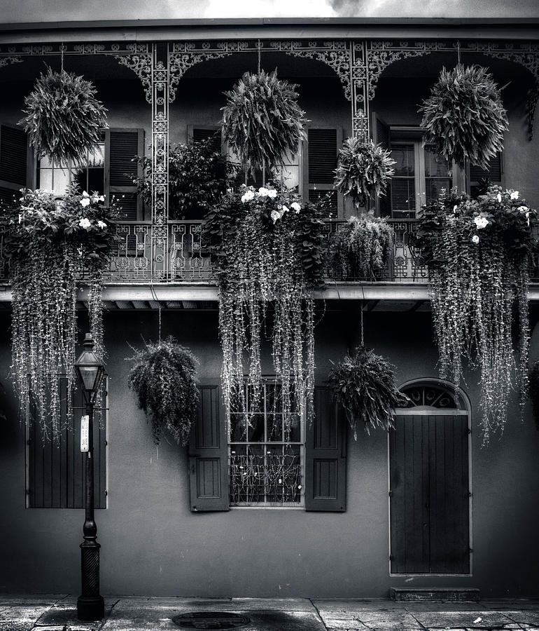 New Orleans Photograph - Early Morning In New Orleans In Black and White by Greg and Chrystal Mimbs