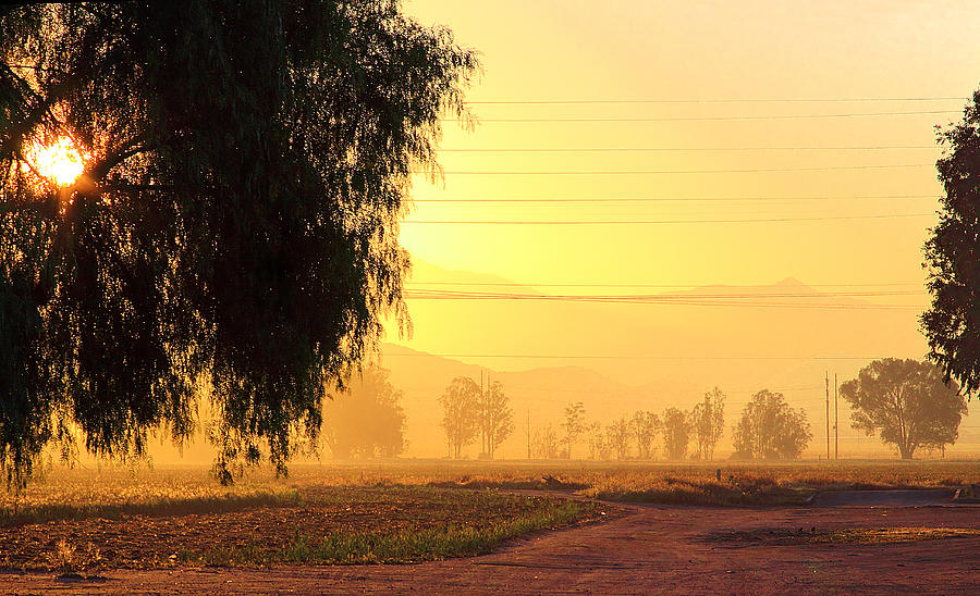 Early Morning In Riverside Photograph by Viktor Savchenko