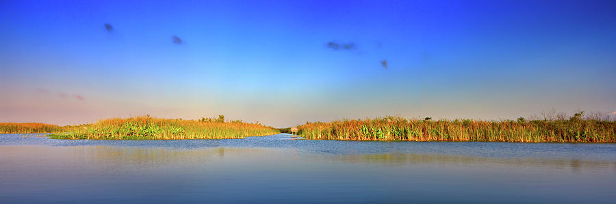 Early Morning In The Everglades Photograph