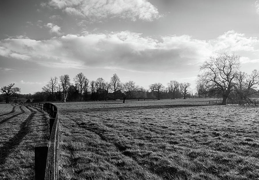Early Morning in the Fields in B and W Photograph by Leah Palmer
