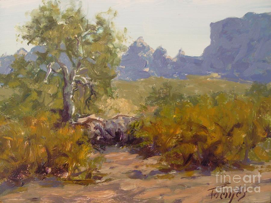 Early Morning Kofa Mountains Painting by James H Toenjes