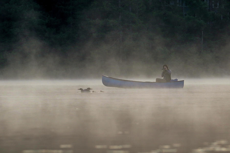 Early Morning Lake  Photograph by Brook Burling