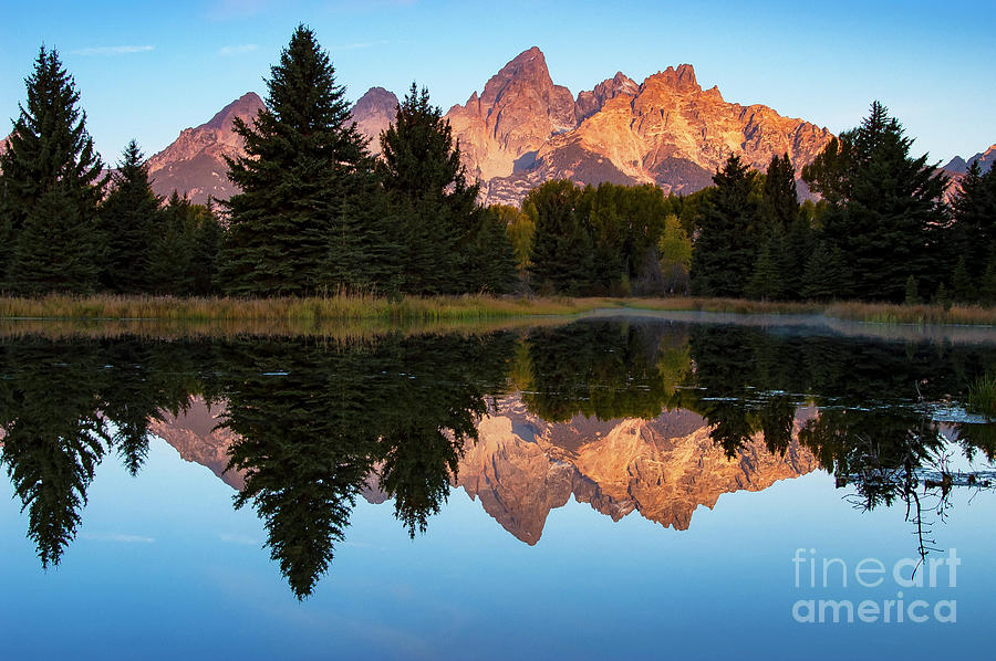 Early Morning Light at Schwabachers Landing  Photograph by Bob Phillips