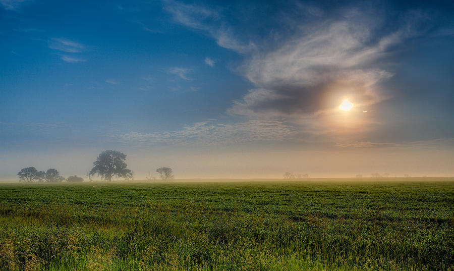 Early Morning Mist Photograph by Rikk Flohr