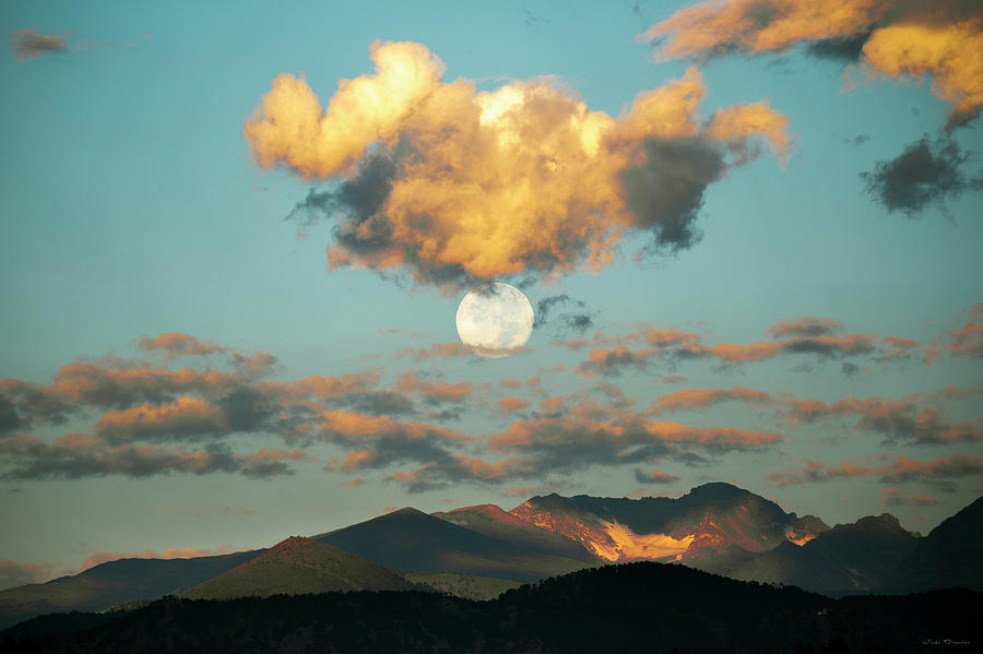 Early morning moon Photograph by Judi Dressler