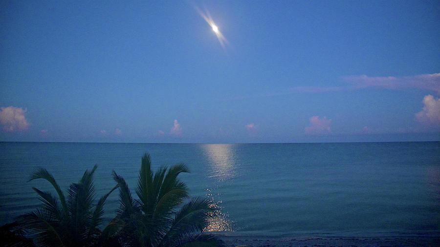 Nature Photograph - Early Morning Moonset by Carol Bradley