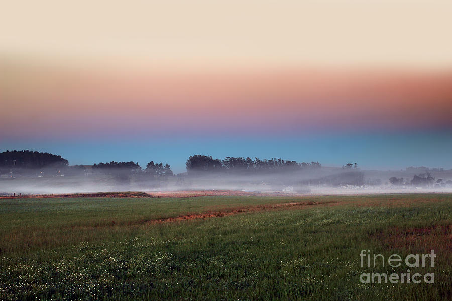 Early Morning Mysty Fog in Petaluma California Photograph by Wernher Krutein