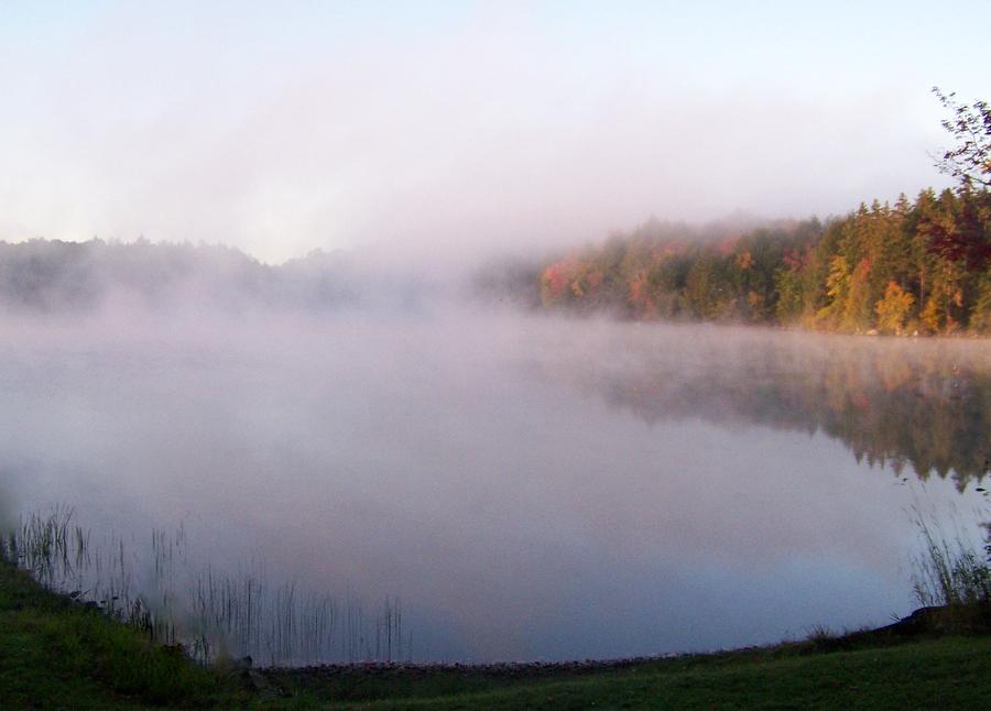 Early Morning On Craig Lake Photograph by Jackie Mueller-Jones
