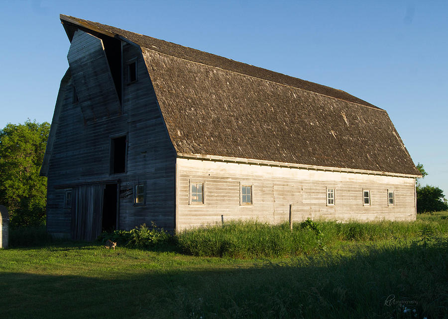 Early Morning On The Farm Photograph By Kristi Ulrich - Fine Art America