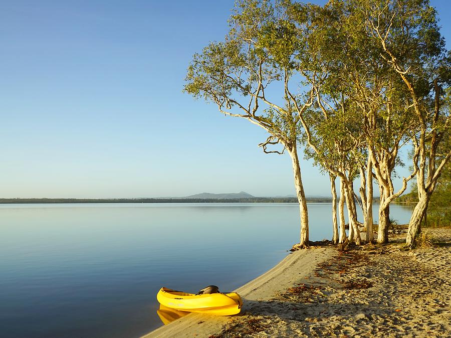 https://images.fineartamerica.com/images/artworkimages/mediumlarge/1/early-morning-paddle-on-lake-cootharaba-keiran-lusk.jpg