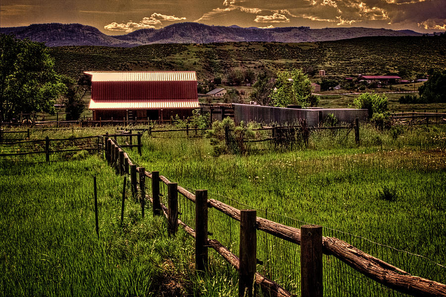 Early Morning Pastures in the Foothills Photograph by Roger Passman