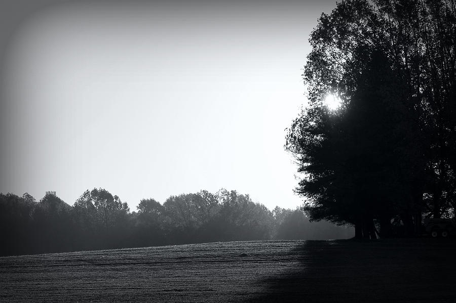 Black And White Photograph - Early Morning by Sheryl Bergman