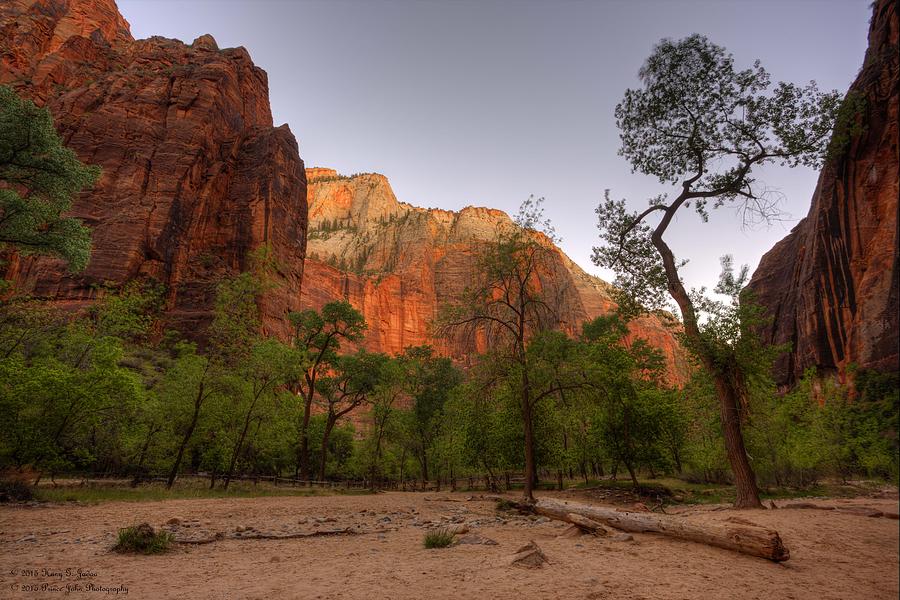 Early Morning Solitude At Zion  Photograph by Hany J
