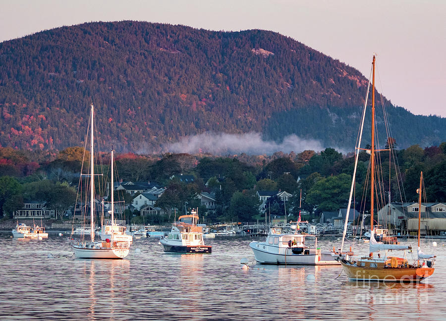 Early Morning, Southwest Harbor, Maine #32416 by John Bald Early Morning, Southwest Harbor, Maine #32416 by John Bald