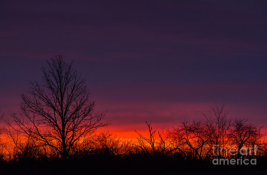 Early Morning Sunrise Photograph by Cheryl Baxter